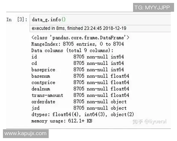 提升数据分析团队在LNG项目中的协作表现与效率研究